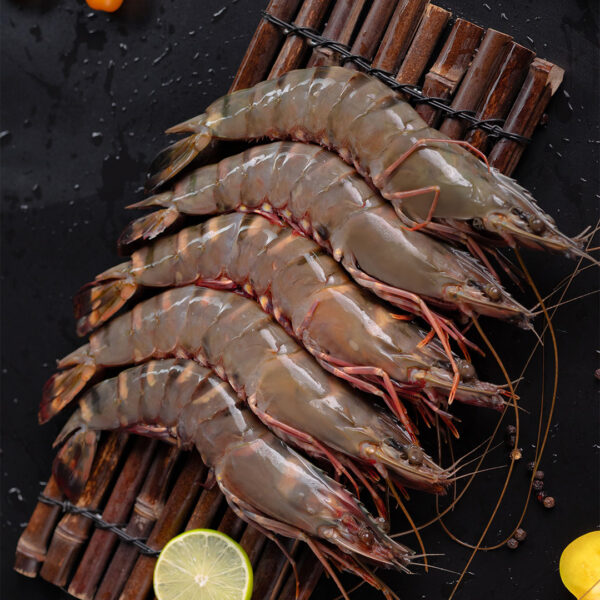 Tôm sú Black Tiger HOSO đông lạnh – Bạch Linh Seafood
