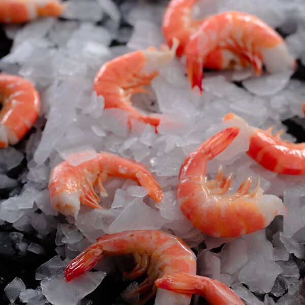 Tôm thẻ Vanamei CHLSO đông lạnh – Bạch Linh Seafood