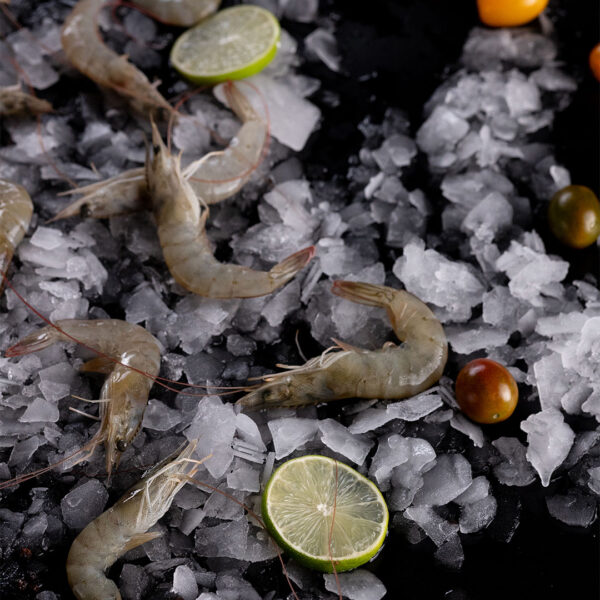 Tôm thẻ Vanamei HOSO đông lạnh – Bạch Linh Seafood